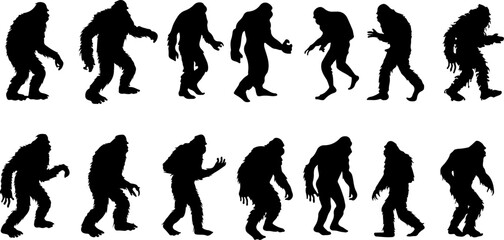 Silhouettes of Sasquatch: A Walk Through Myth and Mystery