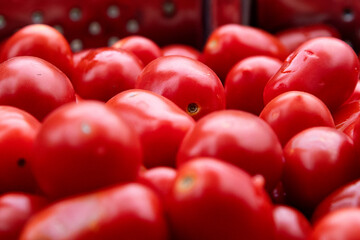 From Tomato to Sauce Bottle The Italian Production Process