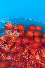 From Tomato to Sauce Bottle The Italian Production Process