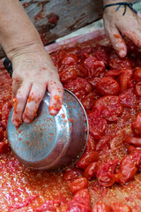 From Tomato to Sauce Bottle The Italian Production Process