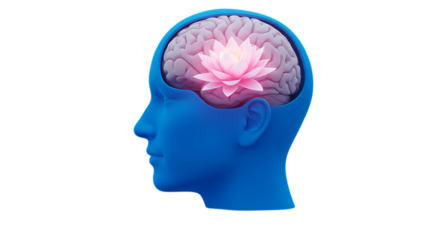 3d quiet mind app icons blue human head profile with pink lotus flower in brain isolated on transparent background