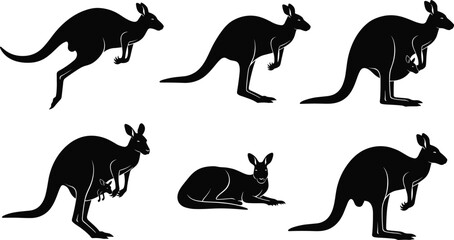 Kangaroo silhouette set, six black kangaroos in varied poses including jumping, standing, with joey, wildlife animal profile vector illustration design