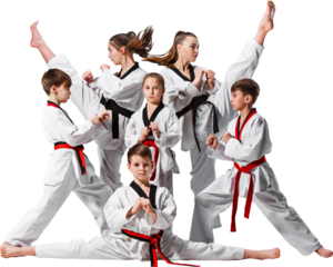 Group of young taekwondo athletes performing high kicks and stances in martial arts training. Concept of sports education, discipline, and children martial arts promotion. Transparent background.