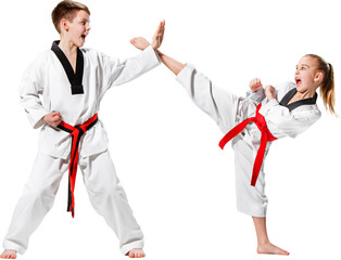 Girl performing Taekwondo high kick against boy blocking hand strike. Concept of martial arts...