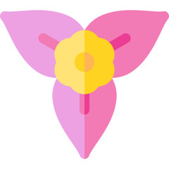 Tropical Bougainvillea Plant