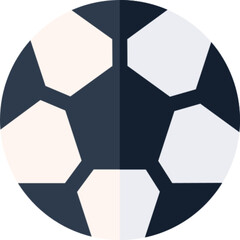 Football Sport Icon