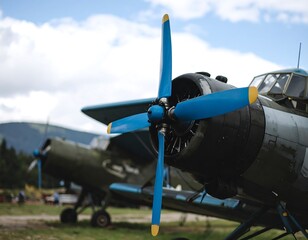 Vintage biplane engine close-up