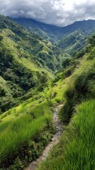 Fototapeta premium Mountain valley path through terraced rice fields under a cloudy sky