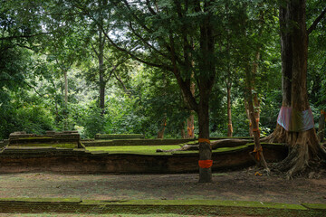 An ancient abandoned temple in the forest, rich in natural green plants and moss, in the rainy...
