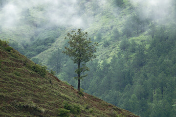 misty morning in the mountains