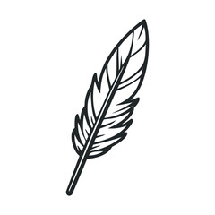 Elegant feather design for artistic or nature themes