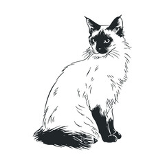 Obraz premium Elegant feline sitting gracefully on display in calm environment