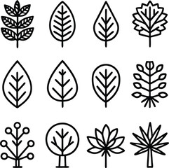 Collection of stylized line art illustrations featuring diverse leaf shapes and botanical branch designs for natural themed graphics