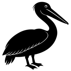Pelican vector Silhouette on white baclground