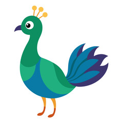 peacock  vector on white background