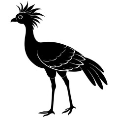 Secretary bird  vector Silhouette on white baclground