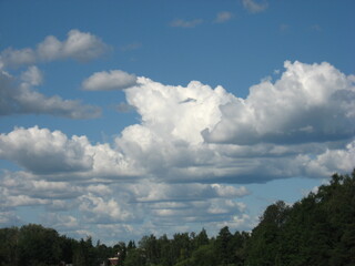 clouds over forest