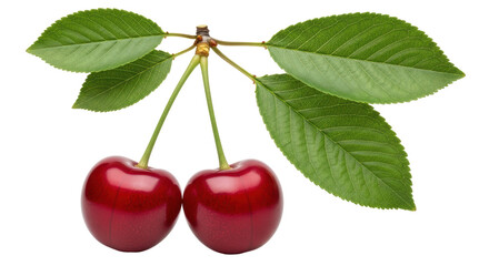 Isolated Cherries