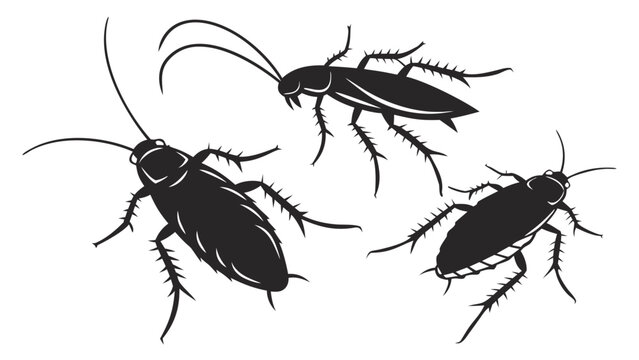 Three black silhouette cockroaches crawling against a white background vector illustration