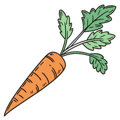 Illustration of a fresh carrot with green leaves, a healthy and nutritious root vegetable