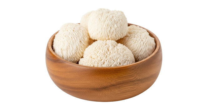 Isolated Lion's Mane Mushroom