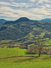 Colli Piacentini, Italia