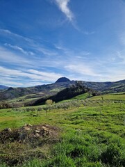 Colli Piacentini, Italia