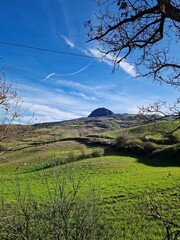 Colli Piacentini, Italia