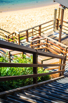 the new blackbutt steps leading to Little Bay beach
