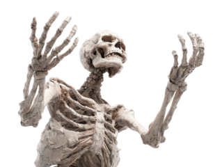 Expressive weathered skeleton sculpture with cracked skull and raised arms in a dramatic pleading pose.