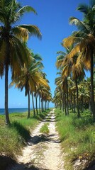 Obraz premium Scenic path lined with palm trees leads to a tranquil beach under a vibrant blue sky