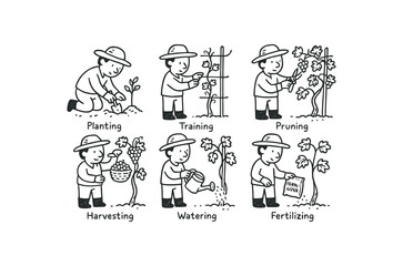 hand drawn cute doodle ink line art style line monochrome monochrome isolated on white background vine grower (tasks): planting training pruning harvesting watering fertilizing