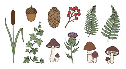 Autumnal Forest Elements Illustration Set for Educational Materials, Nature Guides, and Seasonal Decoration Projects Highlighting Botanical Diversity