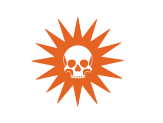 Stylized white skull emblem centered on a vibrant orange multi-pointed starburst graphic with a subtle texture.