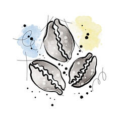 Hand-painted Digital Watercolor Cowrie Shells Illustration