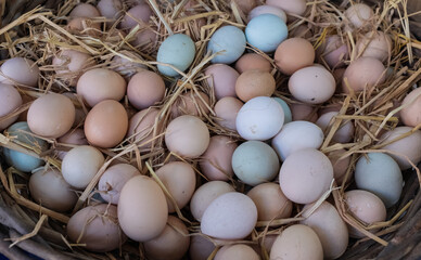 Egg stall in the vegetable market