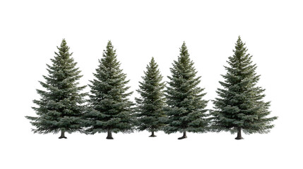 Obraz premium pine trees png