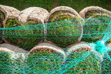 Freshly Cut Grass Turf Rolls Stacked in a Field Ready for Transportation in Summer
