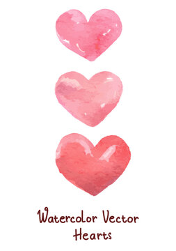 Watercolor Pink Heart Vector Set on White Background,
