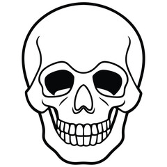 Clean Skull Outline Vector
