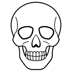 Fototapeta premium Clean Skull Outline Vector