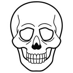 Fototapeta premium Clean Skull Outline Vector