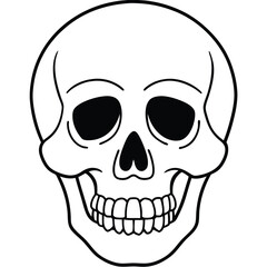 Clean Skull Outline Vector