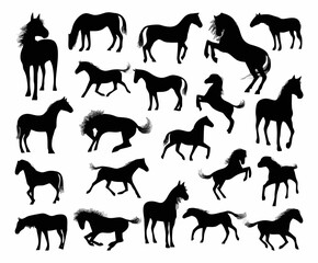 Horse Silhouettes6.eps