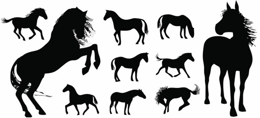 Horse Silhouettes65.eps