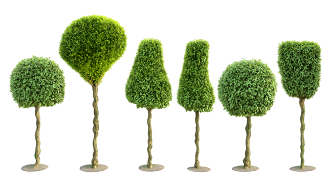 Artistic green trimmed bushes in various shapes and forms isolated on white background