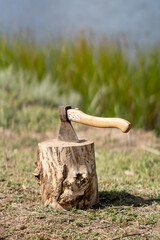 Axe tree stump