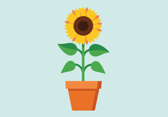 Flat vector sunflower plant in terracotta pot on blue background