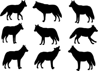 Obraz premium Coyote silhouette vector illustration set. 