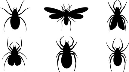 Collection of black silhouette insects and spiders on white background  © T-Shop